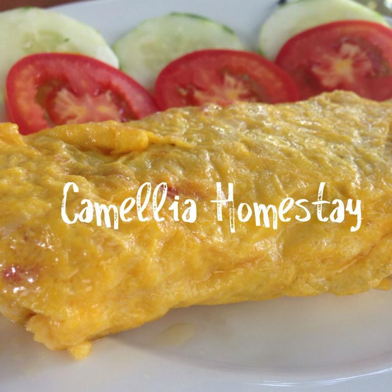 Camellia Homestay Хойан Экстерьер фото