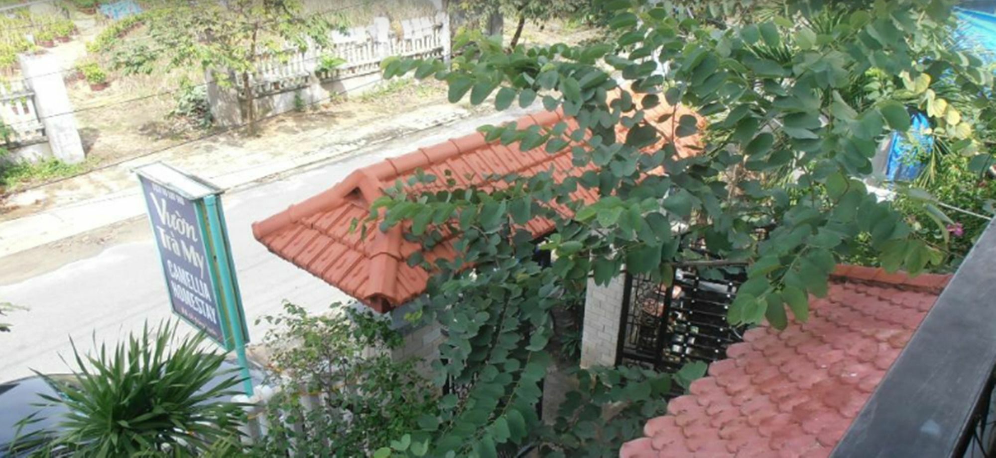 Camellia Homestay Хойан Экстерьер фото